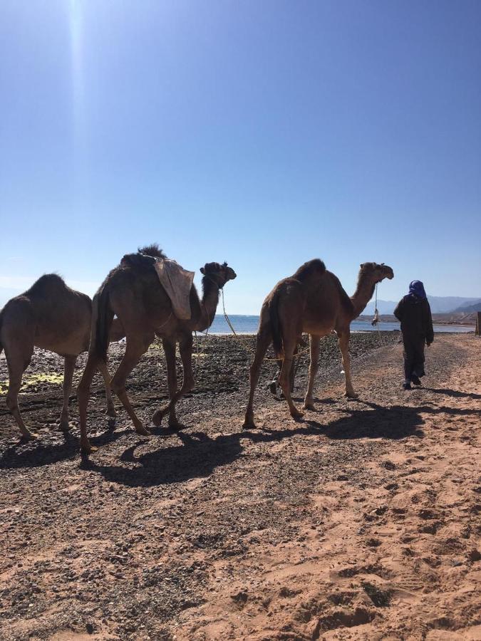 Отель Anne Sinai'S Best Camp & Resturant Нувейба Экстерьер фото